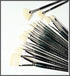 Winsor & Newton 5977708 Winton Hog Fan #8 Bristle Brush...