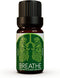 Ecodrop Decongesting Essential Oil Blend - 10ml Bottle | Pure Therapeutic Grade Eucalyptus, Peppermint & Laurel Bay Leaf Oils for Easy Breathing |...
