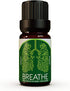 Ecodrop Decongesting Essential Oil Blend - 10ml Bottle | Pure Therapeutic Grade Eucalyptus, Peppermint & Laurel Bay Leaf Oils for Easy Breathing |...