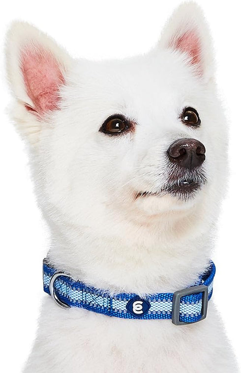 Blueberry Pet Essentials Pack of 2 Reflective Back to Basics Adjustable Dog Collars, Navy Blue, Large, Neck 18"-26"...
