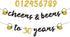 Interchangeable Numbers Cheers & Beers to Any Age Banner Cursive Banner Beer Birthday Sign Happy Birthday Anniversary Bunting Party Decorations...
