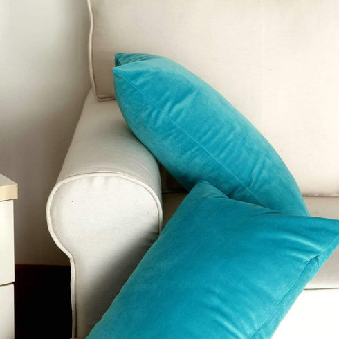 Artcest Set of 2, Cozy Solid Velvet Throw Pillow Case, Decorative Couch Cushion Cover, Soft Sofa Euro Sham with Zipper Hidden, 12"x20" (Light Teal...