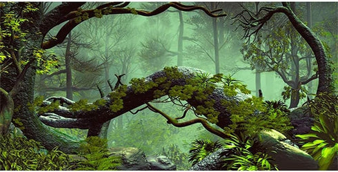 AWERT 72x24 inches Foggy Forest Terrarium Background Stone Green Tree Tropical Reptile Habitat Background Rainforest Aquarium Background Durable P...