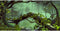 AWERT 72x24 inches Foggy Forest Terrarium Background Stone Green Tree Tropical Reptile Habitat Background Rainforest Aquarium Background Durable P...