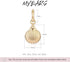 MYEARS Women Clam Shell Earrings Gold Huggie Hoop Dangle Drop 14K Gold Plated Small Simple Minimalist Hypoallergenic Everyday Summer Beach Jewelry...
