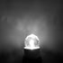 Lxcom Lighting G9 LED Bulb 2W Dimmable Globe Crystal LED Light Bulbs 20W Equivalent G9 Base COB Light Bulbs Daylight White 6500K 150LM 110V for Ho...