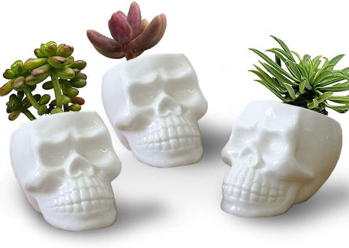VanEnjoy Set of 3 Ceramic Skull succulent Pots and Planters Creative Cactus Plant Pot Pen Pencil Holder, Home Office Bedroom desk Decoration...