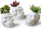 VanEnjoy Set of 3 Ceramic Skull succulent Pots and Planters Creative Cactus Plant Pot Pen Pencil Holder, Home Office Bedroom desk Decoration...
