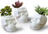 VanEnjoy Set of 3 Ceramic Skull succulent Pots and Planters Creative Cactus Plant Pot Pen Pencil Holder, Home Office Bedroom desk Decoration...