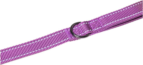 Heavy Duty Dog Leash for Large Dogs, Reflective Dog Training Leash with Neoprene Handle, Ideal for Walking, Running, and Training, 1" x 5ft, Purpl...