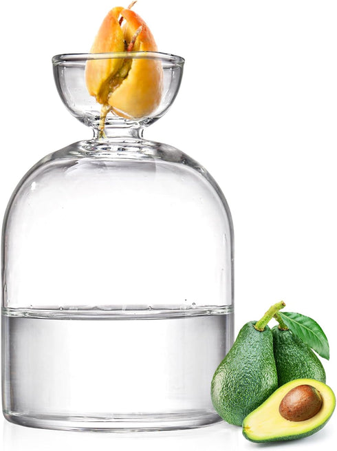Lawei Glass Avocado Seed Starter Vase, Sprouting Seed Starter Planter Pot, Avocado Tree Growing Kit, Glass Bulb Propagation Flowers Pot, Aqua Cult...