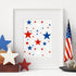 16Pcs Star Shape Stencils Patriotic Star Templates Stencils Reusable Plastic Drawing Painting Template for 4th of July DIY Art Craft Painting on W...