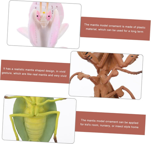 TOYANDONA Desktop Decor 3pcs Plastic Plastic Playes Desktop Toys Realistic Simulation Model Simulation Model Small Mantis Decoration Animal Decora...