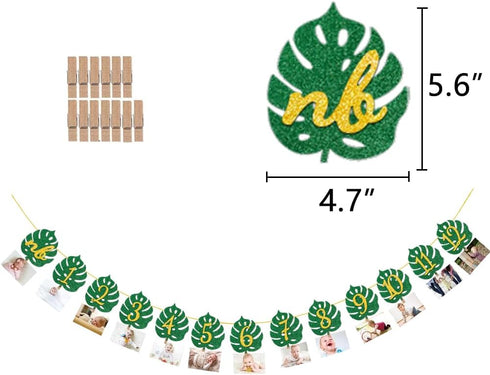 MATTTIME Tropical 12 Month Leaf Banner 1st Birthday Glitter Jungle Safari Wild One Monthly Photo Prop Zoo Party Decoration...