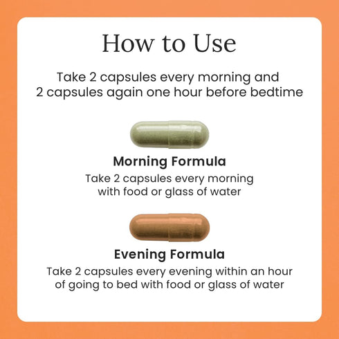 Gulp Core Essentials AM PM Multivitamin for Men & Women | Energy, Immunity, Stress & Sleep Support | Omega 3, Probiotics, Antioxidants & More | 60...