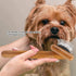 Oumefar Healthy Bamboo Dog Hair Comb Pet Wooden Brush Massage Grooming Slicker Brush with Rounded Bristles(Charged)...