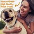 Marcy's Pet Kitchen- All Natural, Crunchy, Pumpkin Biscuit Dog Treats - Homemade - Crunchy Approved- Vegan, Gluten Free, Human Grade Ingredients, ...