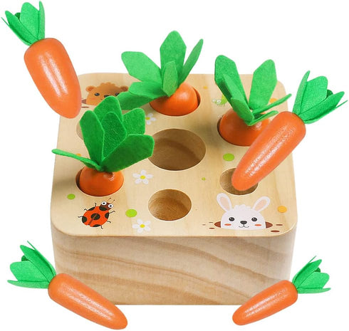 Wooden Toys for 1 2 3 Year Old Baby Boys and Girls, Montessori Toy Carrot Harvest Game Shape & Sorting Matching Puzzle, Educational Developmental ...