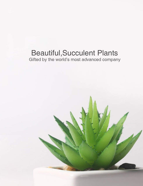 DuHouse Fake Succulents Plants Artificial Potted Faux Plant in Mini Square White Pots for Home Office Bathroom Desk Shelf Decor Set of 4(Green)...