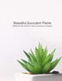 DuHouse Fake Succulents Plants Artificial Potted Faux Plant in Mini Square White Pots for Home Office Bathroom Desk Shelf Decor Set of 4(Green)...