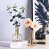 Desktop Plant Vases with Test Tube Glass Flower Vase with Gold Metal Stand Propagation Station Plant Holder for Home Wedding Decor (Gold, Bottle)...