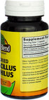 Freeze Dried Lactobacillus Acidophilus 100 Caps...