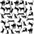 Grenerics Black Cat Wall Stickers for Kids Cat Wall Decals Bedroom Cat Vinyl Sticker Wall Art Stickers 36PCSby Baryuefull...