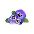 Biokoma Pure and Natural Heartsease Wild Pansy Dried Herb 50g (1.76oz) Healthy Skin Support Respiratory System Boost In Resealable Moisture Proof ...