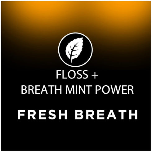 DenTek Fresh Breath Floss Picks, Mint Flavor, 400 Floss Picks...
