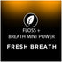 DenTek Fresh Breath Floss Picks, Mint Flavor, 400 Floss Picks...