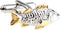 Fish 2 Tone Pair Fishing Cufflinks in a Presentation Gift Box & Polishing Cloth...