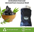Green Piece® Pack of All Natural Baby Diaper Pail Deodorizer Activated Charcoal Air Purifier (15 Pack of Carbon Filters)...