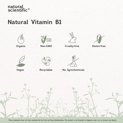 Vitamin B1 (Thiamine) Supplement 100mg - from Organic Guava and Tulsi - Plant-Based, Gluten-Free, Vegetarian, Non-GMO - 60 Capsules - Premium Diet...