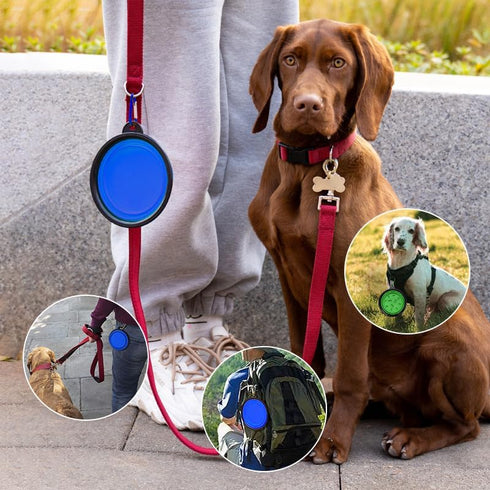 Portable Pet Travel Dog Bowls, 2 Pack Convenient Collapsible Dog Bowls, Small Pet Slow Feeder Design for Dogs Cats Feeding Watering with 2 carabin...