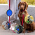 Portable Pet Travel Dog Bowls, 2 Pack Convenient Collapsible Dog Bowls, Small Pet Slow Feeder Design for Dogs Cats Feeding Watering with 2 carabin...