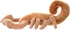 Wild Republic Scorpion Plush, Stuffed Animal, Plush Toy, Gifts for Kids, Cuddlekins 12 Inches...