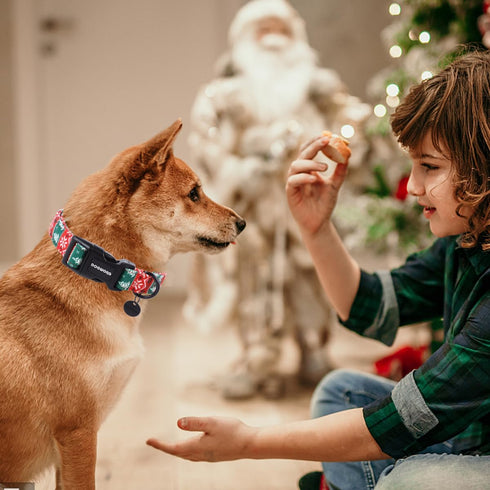 DOGWONG Christmas Cotton Dog Collar, Red Green Stripe Christmas Dog Collar Durable Soft Fabric Pet Dog Collar Cute Red Puppy Necklace for Small Me...