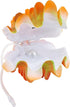 Penn-Plax Aerating Action Ornament, Giant Clam – Opens and Closes | A for Any Aquarium Decor...