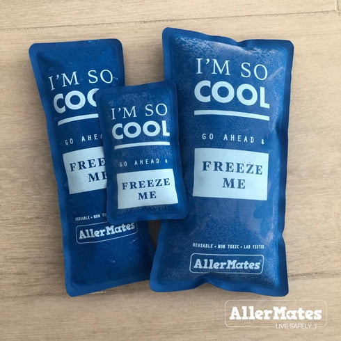 AllerMates Long Lasting Ice Gel Pack for Children's Medium Medicine Cases...