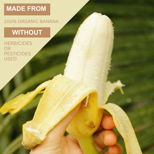 Organic Sun Dried Whole Bananas | No Sugar Added | No Preservatives | Unsulfured | Soft and Chewy Little Bananas | Thai Natural Fruit Snacks | Sup...
