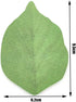 5 Packs Green Leaf-Shaped Sticky Notes Stickers Removable Self-Stick Notes Scratch Pads for Desk Office School Memos...