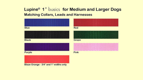 LupinePet Basics 1" Blaze Orange 19-27" Martingale Collar for Large Dogs...