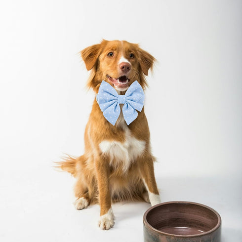 Adjustable Pet Bow Tie and Dog Collar for Lady Small Medium Large Dogs, Puppy Collar with Bowtie, Cute Lady Bow and Dog Collars - Comfort Soft Cot...