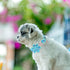 Dog Collar with Flower, Comfortable Cotton Summer Dog Flower Collar, Durable Metal Buckle Cute Pet Collar for Large Girl Boy Dog, L, Neck 16-24in...