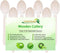 Disposable Wooden Spoons, 100 Piece, 6" Length Wooden Utensils Wooden Cutlery in Paper Box...