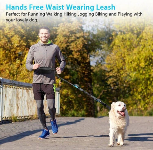 Hands Free Dog Running Leash with Zipper Pouch, Dual Handle, Elastic Bungees Retractable Rope for Medium and Large Dogs, Waist Bag Pack Carry All ...