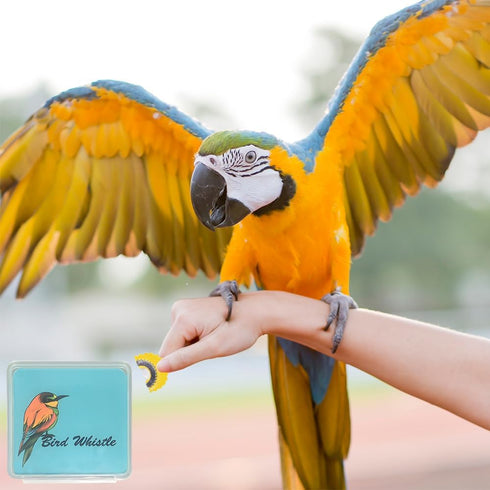 Bird Whistles 5 Pcs Swiss Warblers Magic Fun Bird Callers 5 Colors Original Tweeting Noisemakers for Gift Party Supplies (5 Pcs)...