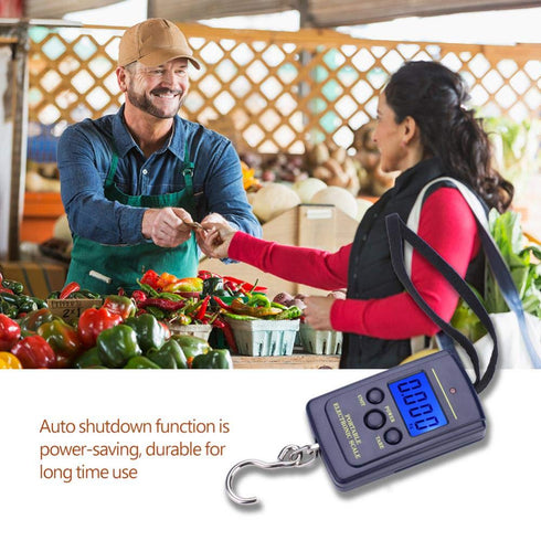 Fish Scales Digital Weight, Hanging Weight Scales, Portable Plastic Electric Balance Digital Fishing Postal Hanging Hook Scale Load 40kg with Lcd ...