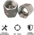 304 Stainless Steel Garden Hose Adapter 3/4"GHT Female to Female Water Pipe Connector with 2 Extra Washers...