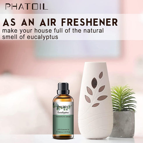 Eucalyptus Essential Oil 30ML, Pure Eucalyptus Essential Oils for Diffuser, Humidifier, Aromatherapy, Perfect for DIY Soap, Candle, Bath Bombs Mak...
